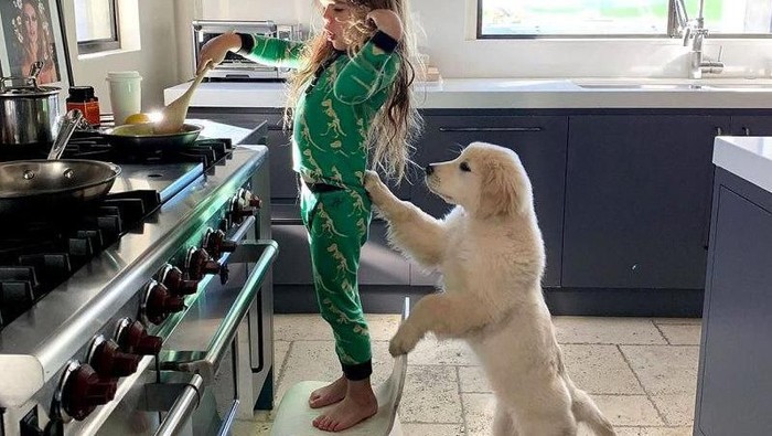Anak seleb Hollywood masak