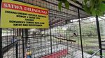 Bermain Sambil Belajar di Taman Wisata Purbasari di Purbalingga