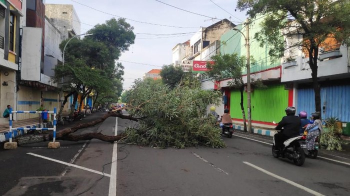 BERITA TERKAIT