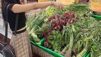 Selain belanja bayam merah, Bella juga mampir ke supermarket untuk belanja bawang daun dan sayuran lainnya. Foto: Instagram @bellanova.96
