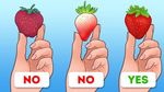 Ikuti 10 Tips Ini untuk Kenali Keju hingga Telur Berkualitas