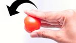 Ikuti 10 Tips Ini untuk Kenali Keju hingga Telur Berkualitas