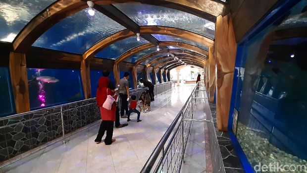 Taman Wisata Pendidikan Purbasari Pancuran Mas di Purbalingga jadi pilihan menarik habiskan akhir pekan. Di sana pengunjung juga mendapat edukasi tentang satwa.