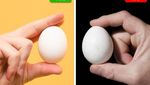 Ikuti 10 Tips Ini untuk Kenali Keju hingga Telur Berkualitas