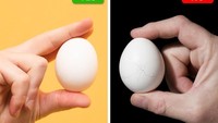Mengenali telur berkualitas terbilang mudah. Pilih yang cangkangnya bersinar dan bertekstur lembut. Foto: Brightside