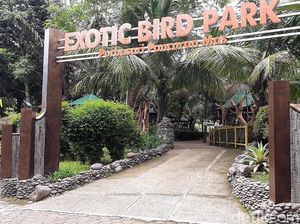 8 Tempat Wisata di Purbalingga yang Lagi Hits-Terbaru, Ratingnya Tertinggi!