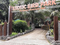 8 Tempat Wisata di Purbalingga yang Lagi Hits-Terbaru, Ratingnya Tertinggi!