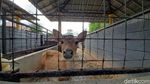 Bermain Sambil Belajar di Taman Wisata Purbasari di Purbalingga