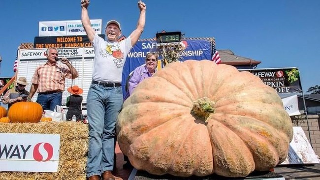 Ini Penampakan 5 Buah Jumbo di Dunia, Ada yang Beratnya 1 Ton!
