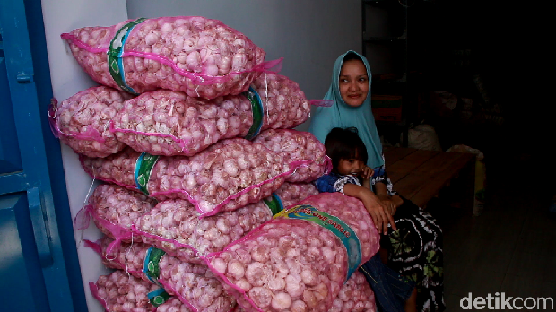 Harga Bawang Putih Naik Jadi Rp 50.000 per Kg Gara-gara Corona