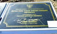 Jokowi: Insan Pers Selalu di Hati dan Selalu Dirindukan
