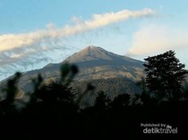 Welirang, Gunung Api Aktif dengan Hidden Gem yang Memikat