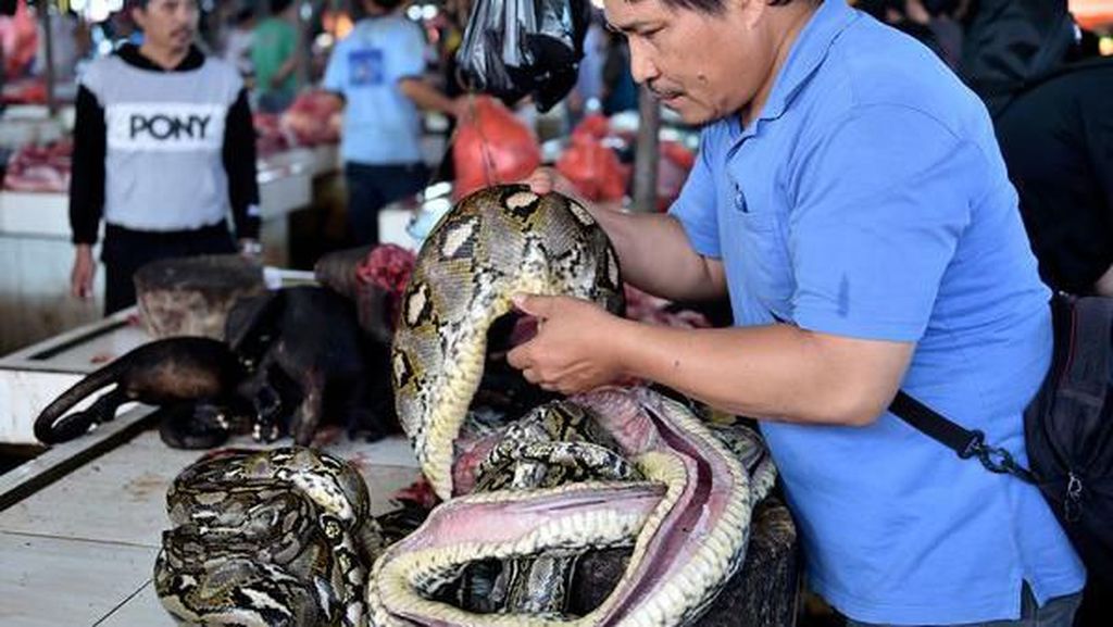 Segini Harga Daging Ular hingga Monyet yang Dijual di Pasar Tomohon