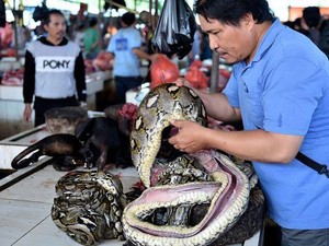 Mengenal Pasar Beriman yang Ekstrem di Tomohon