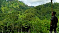 Menurut salah satu pemandu setempat, kata Cawing Tali sendiri terucap untuk menyebut kepala desa pertama di Desa Cawet sekitar Tahun 1825 (Robby Bernardi/detikcom)