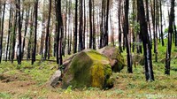 Alam nan hijau juga masih dapat ditemui traveler di desa ini. Layak disebut hidden gem (Robby Bernardi/detikcom)