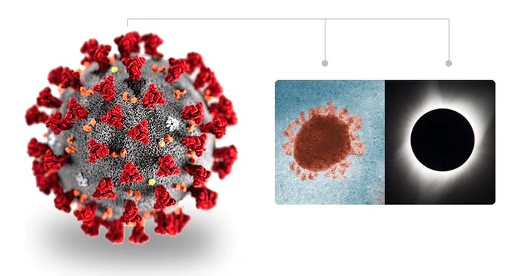 virus corona virus corona