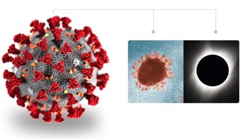 Nama virus corona didapat dari protein yang melonjak di permukaannya. Protein ini menciptakan efek yang mirip dengan korona Matahari--bagian dari atmosfer Matahari yang terlihat selama gerhana Matahari total. Corona berarti mahkota dalam bahasa Latin. Foto: (1) CDC. (2) CDC/Fred Murphy; Sylvia Whitfield. (3) NASA/Aubrey Gemignani. Montage by ITGD Design Team/Vikas Vashisht.