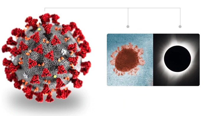 virus corona virus corona