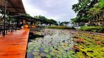 Foto: Kafe Instagramable di Tengah Danau, Lake Cafe