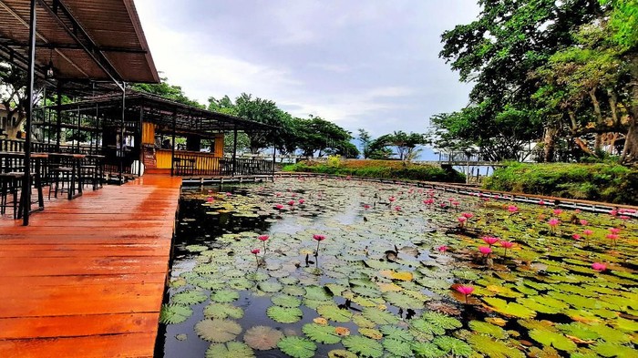 Lake Cafe, Palu