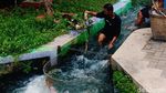 Foto: Saluran Irigasi Kumuh yang Diubah Jadi Objek Wisata