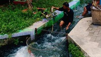Pengerjaan mulai dilakukan pada 10 Februari 2019 dengan membersihkan lumpur secara bertahap dari 50 sampai 70 meter. (Foto: Jauh Hari Wawan S/detikcom)
