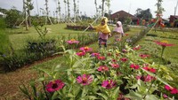 Taman bermain jadi salah satu tempat yang disukai oleh anak-anak. Pasalnya di sana mereka dapat bermain bersama teman-teman untuk mengisi waktu di akhir pekan.