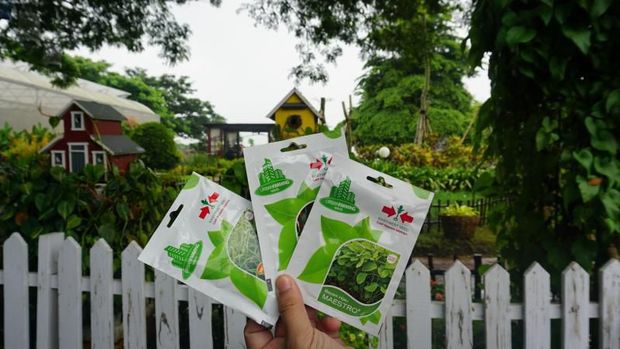 Berkebun di Urban Farming Center