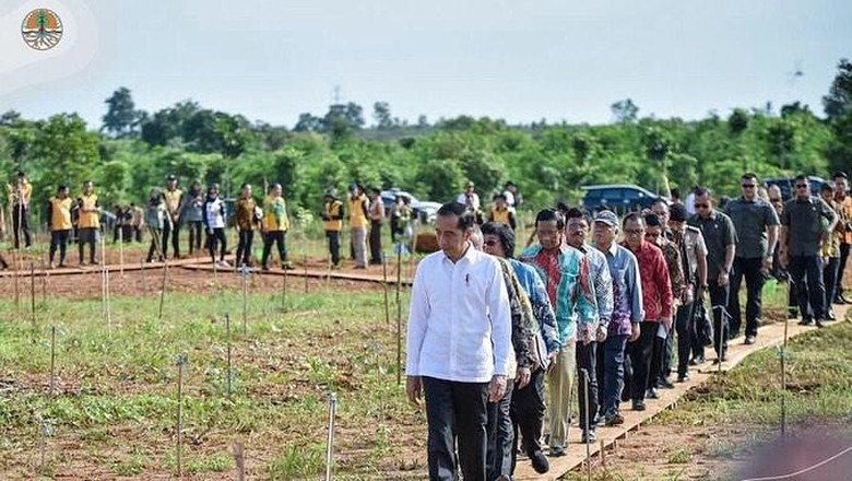 Peringati Hari Pers Nasional, Jokowi Resmikan Hutan Baru Peringati Hari Pers Nasional, Jokowi Resmikan Hutan Baru
