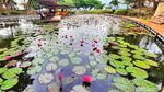 Foto: Kafe Instagramable di Tengah Danau, Lake Cafe