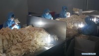 Virus corona telah membuat banyak korban berjatuhan di Wuhan, China. Istimewa/Dok. Xinhuanet.com.