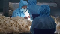 Para pekerja juga memeriksa satu-persatu sarung tangan untuk memastikan sarung tangan tersebut steril dari virus. Istimewa/Dok. Xinhuanet.com.