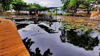 Lokasi wisata ini sempat rusak parah saat tsunami yang terjadi pada September 2008 lalu. Lalu sang owner mendirikan kembali kafe ini dengan konsep baru. (Mohammad Qadri/detikcom)