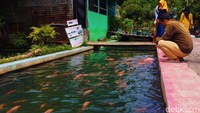 Objek wisata baru ini menyuguhkan saluran irigasi yang airnya bening serta ikan-ikan yang berenang bebas. (Foto: Jauh Hari Wawan S/detikcom)