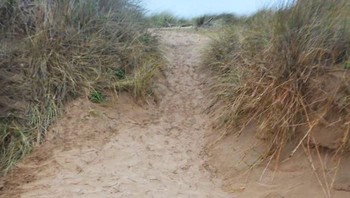 Bahkan menurut Foreman, mengerjakan satu karya terasa seperti terapi untuknya karena bisa membuatnya melupakan stress di kehidupan untuk sejenak. Foto: Jon Foreman