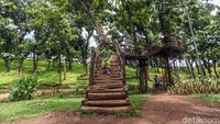 Sejumlah anak sedang bermain di Taman Kembang Kerep yang berada di kawasan Meruya, Jakarta Barat, Senin (10/2/2020).