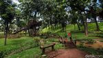 Asyiknya Bermain di Taman Kembang Kerep Jakbar