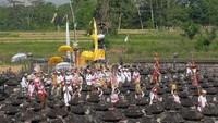Begini suasana prosesi ritual adat mengenang perjuangan I Gusti Ngurah Rai di Desa Kelaci, Kabupaten Tabanan, Bali.