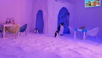 Di Salt Room sendiri ada beberapa ruangan terapi yang semuanya terbuat dari garam. Tapi di desain menarik mirip seperti rumah salju yang ada di Kutub. Foto: Istimewa