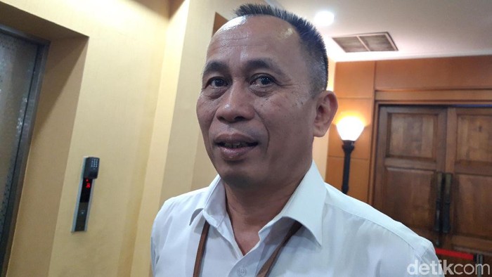 Deputi Bidang Perlindungan Anak Kemen PPPA, Nahar (Foto: Rahel/detikcom)