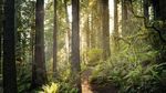 Potret 10 Lokasi Film Star Wars di Dunia Nyata