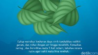 Cukup merebus lembaran daun sirih tambahkan sedikit garam, dan rebus dengan air hingga mendidih. Kemudian saring , dan bersihkan mata 3 kali sehari, lakukan secara rutin agar sakit mata bisa sembuh.