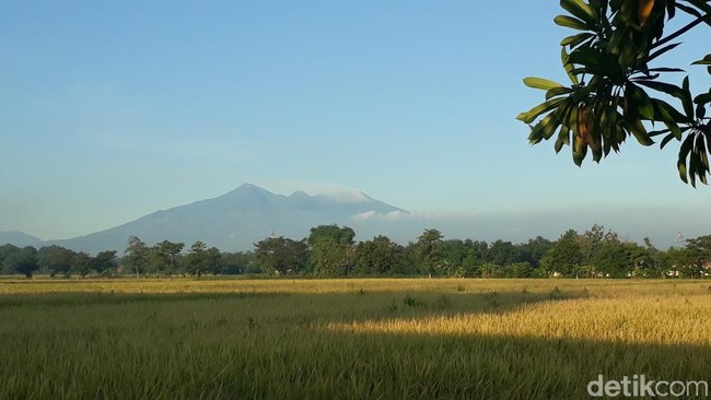 Sederet Tantangan Mendaki Gunung Arjuno