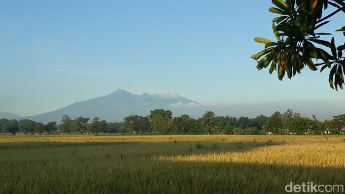 Gunung Arjuno-Welirang dari kejauhan
