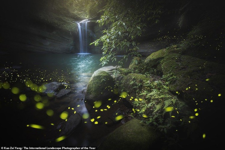 Dari cahaya aurora hingga pegunungan dramatis ditampilkan dalam deretan juara lomba foto lansekap internasional 2020. Yuk, intip potret keindahannya.
