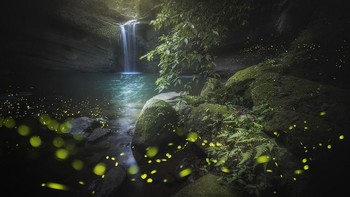 Lansekap menakjubkan dibidik oleh fotografer asal Taiwan, Kuo Zei Yang. Ia mengabadikan suasana air terjun Wangu yang dihiasi kelap-kelip kunang-kunang. Kuo Zei Yang/The International Landscape Photographer of The Year.