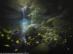 Indahnya Kebangetan! Ini Sederet Foto Landscape yang Menawan