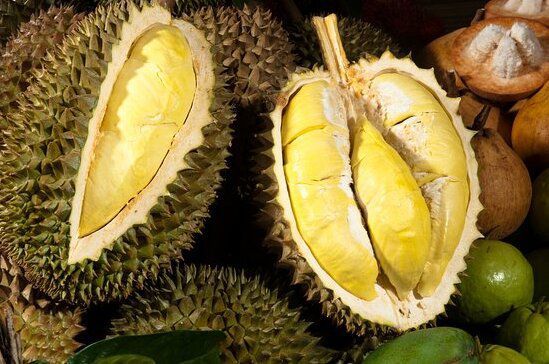 durian musang king turun harga