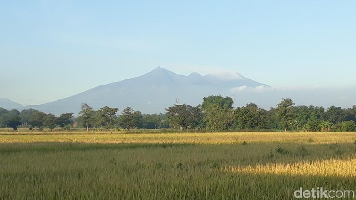 Gunung Arjuno-Welirang dari kejauhan